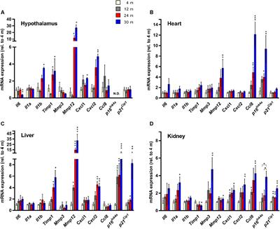 Age- and Tissue-Specific Expression of Senescence Biomarkers in Mice